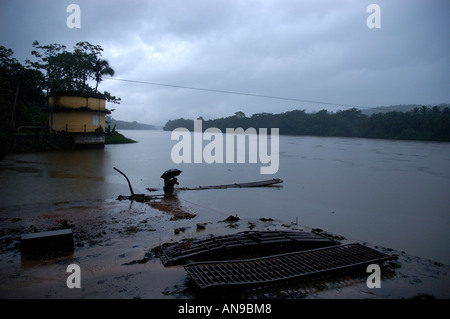 Dans la rivière PERIYAR, MOUSSON THATTEKAD BIRD SANCTUARY, ERNAKULAM DIST Banque D'Images