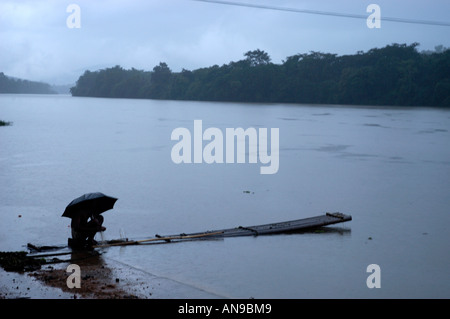 Dans la rivière PERIYAR, MOUSSON THATTEKAD BIRD SANCTUARY, ERNAKULAM DIST Banque D'Images