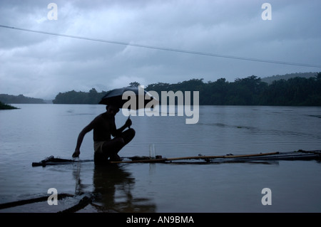 Dans la rivière PERIYAR, MOUSSON THATTEKAD BIRD SANCTUARY, ERNAKULAM DIST Banque D'Images