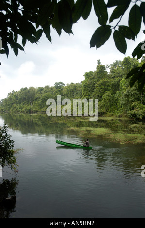 Dans la rivière PERIYAR, MOUSSON THATTEKAD BIRD SANCTUARY, ERNAKULAM DIST Banque D'Images