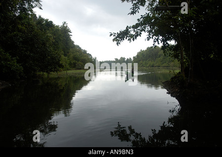 Dans la rivière PERIYAR, MOUSSON THATTEKAD BIRD SANCTUARY, ERNAKULAM DIST Banque D'Images