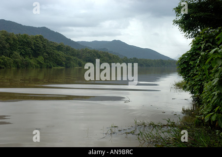 Rivière PERIYAR, THATTEKAD BIRD SANCTUARY, ERNAKULAM DIST Banque D'Images