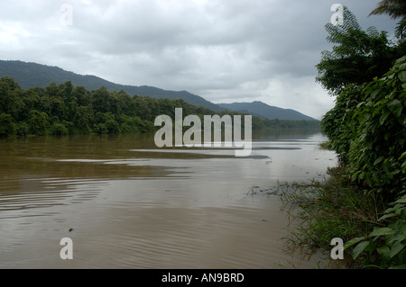 Rivière PERIYAR, THATTEKAD BIRD SANCTUARY, ERNAKULAM DIST Banque D'Images