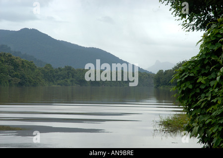 Rivière PERIYAR, THATTEKAD BIRD SANCTUARY, ERNAKULAM DIST Banque D'Images