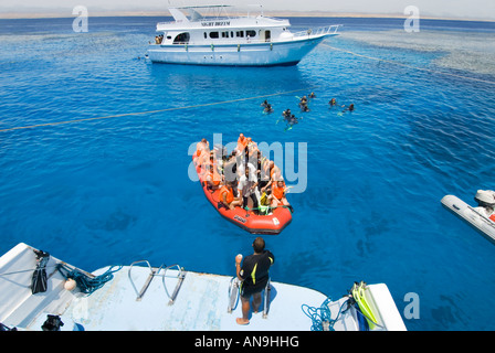 Les plongeurs de sortir en bateau bateau flottaison personnes surface master dive Plongée Egypte mer rouge group dolfin chambre Shab Marsa Alam Banque D'Images