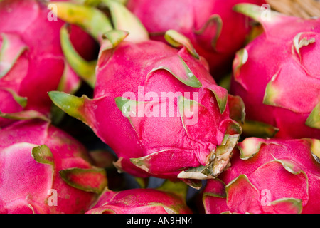 Fruits de Pitaya Bangkok Thaïlande Banque D'Images