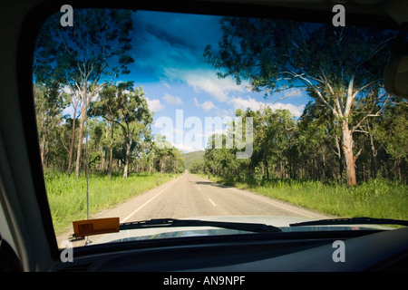 Voir à partir de la voiture de route à travers la forêt tropicale de Daintree Queensland Australie Banque D'Images