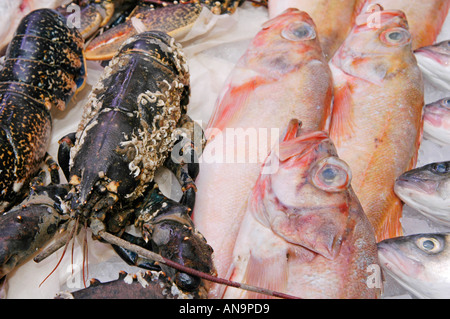 Le grondin rouge, le homard vivant et le bar en vente sur le stand des poissonniers à Swansea au Pays de Galles du Sud Marché UK Banque D'Images