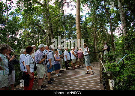 Les touristes en promenade dans la forêt tropicale Barron Gorge National Park North Queensland Australie Banque D'Images