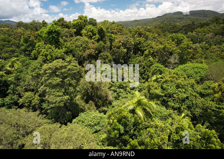 Le téléphérique Skyrail Rainforest vu du nord du Queensland en Australie Banque D'Images