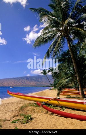 Outrigger canoes sur la plage de Kihei Maui Hawaï États-Unis Banque D'Images