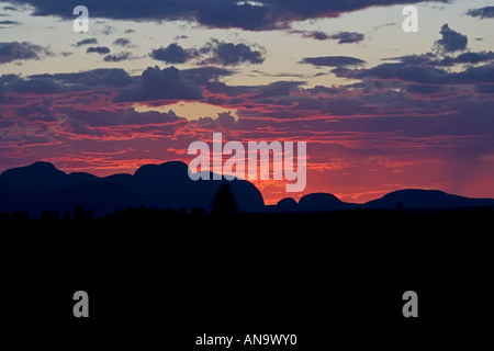 Les Olgas Kata Tjuta au coucher du soleil au centre rouge Australie Territoire du Nord Banque D'Images