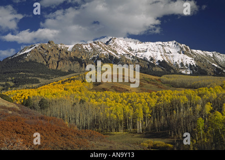 Sneffels Range, vue d'ouest Dallas Creek Rd, tremble à l'automne feuillage, San Juan Mtns, Colorado, USA Banque D'Images