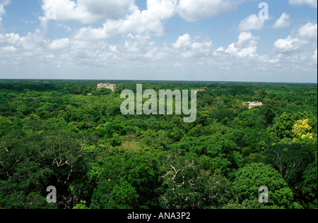 Vew de la forêt tropicale mexicaine depuis le sommet de la pyramide El Castillo de Chichen Itza Banque D'Images