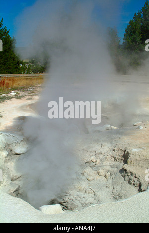 Spouter ou Mudpot rouge Geyser Fontaine sur Pot de peinture Trail Parc National de Yellowstone au Wyoming USA Banque D'Images