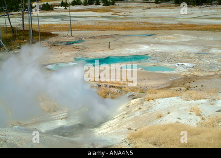 Grognard noir évents à vapeur et voir de la porcelaine dans le bassin de Norris Geyser Basin dans le Parc National de Yellowstone au Wyoming USA Banque D'Images