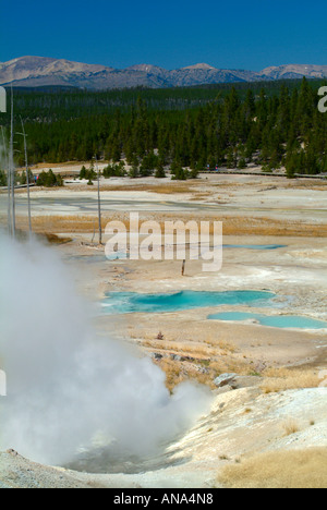 Grognard noir évents à vapeur et voir de la porcelaine dans le bassin de Norris Geyser Basin dans le Parc National de Yellowstone au Wyoming USA Banque D'Images