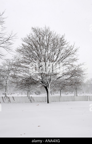 Scène d'hiver du Michigan Banque D'Images