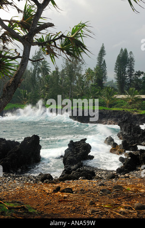 Le surf à la plage de la pierre de lave dans la région de Wailua une petite ville sur la route de Hana Maui Hawaii USA Banque D'Images