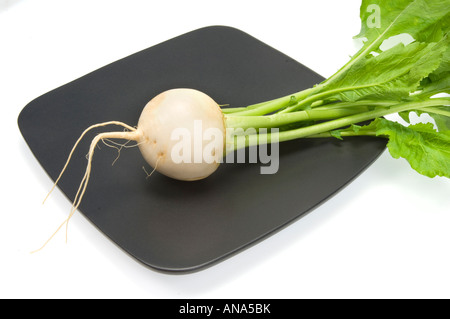 Radis radis blanc frais Radis daikon radis japonais avec des feuilles vertes une feuille plaque noire Banque D'Images