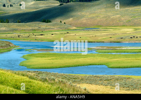 La Yellowstone River serpente à travers la Hayden Valley dans le Parc National de Yellowstone au Wyoming USA Banque D'Images