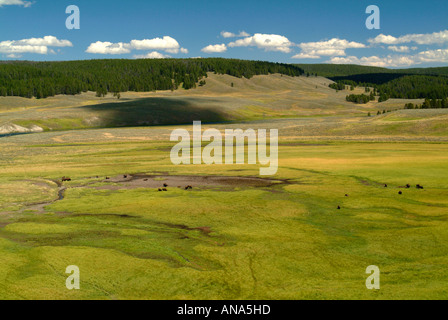 La Yellowstone River serpente à travers la Hayden Valley dans le Parc National de Yellowstone au Wyoming USA Banque D'Images