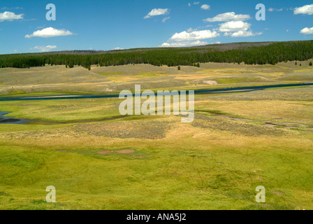 La Yellowstone River serpente à travers la Hayden Valley dans le Parc National de Yellowstone au Wyoming USA Banque D'Images