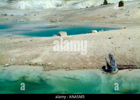 Les eaux bleu vert d'une belle piscine dans le bassin en porcelaine à Norris Geyser Basin dans le Parc National de Yellowstone au Wyoming USA Banque D'Images