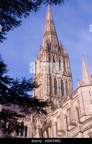 Cathédrale de Salisbury Salisbury Wiltshire, UK Banque D'Images