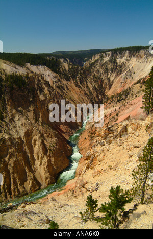 La rivière Yellowstone circulant dans Grand Canyon de la Yellowstone vu de l'Inspiration Point Banque D'Images