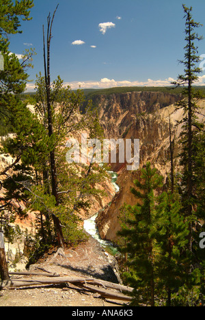 La rivière Yellowstone circulant dans Grand Canyon de la Yellowstone vu de l'Inspiration Point Banque D'Images