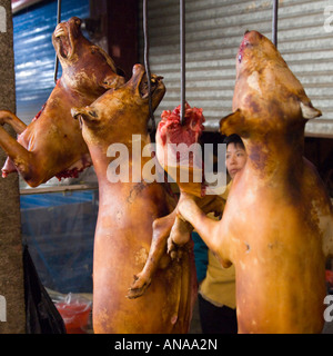 Chine Guangxi Yuangshuo marché alimentaire local pour la vente de viande de chien chiens cuite suspendu Banque D'Images