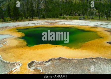 La magnifique piscine d'emeraude à Midway Geyser Basin dans le Parc National de Yellowstone au Wyoming USA Banque D'Images