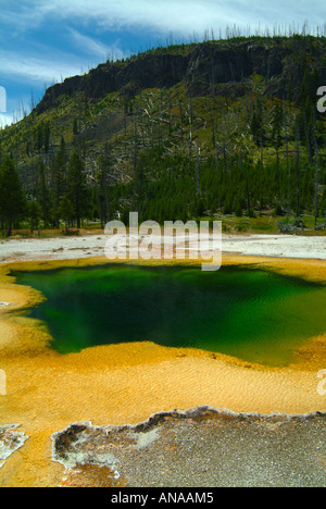 La magnifique piscine d'emeraude à Midway Geyser Basin dans le Parc National de Yellowstone au Wyoming USA Banque D'Images