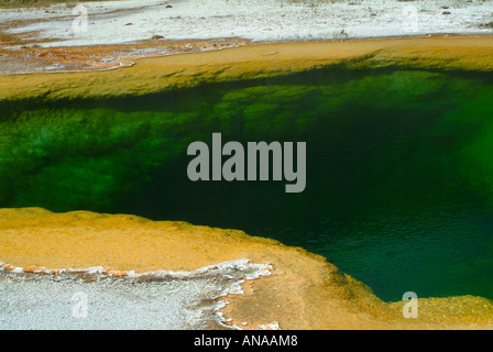 Libre de la merveilleuse piscine d'emeraude à Midway Geyser Basin dans le Parc National de Yellowstone au Wyoming USA Banque D'Images