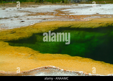 Libre de la merveilleuse piscine d'emeraude à Midway Geyser Basin dans le Parc National de Yellowstone au Wyoming USA Banque D'Images