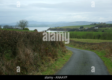 Une promenade dans le pays avec des haies, pouce à l'extérieur de l'Île, Donegal, Derry, Irlande Banque D'Images