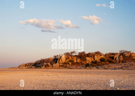 Vue panoramique d'un de baobabs et de blocs rocheux sur Kubu Island Banque D'Images