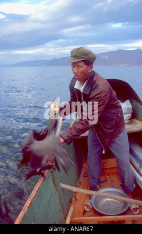 Un pêcheur en utilisant les cormorans de prendre du poisson de Dali Erhai Lake province du Yunnan au sud-ouest de la Chine Banque D'Images