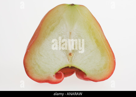 Close Up of Bell Fruit (Pomme) Cire sur fond blanc en Studio Banque D'Images