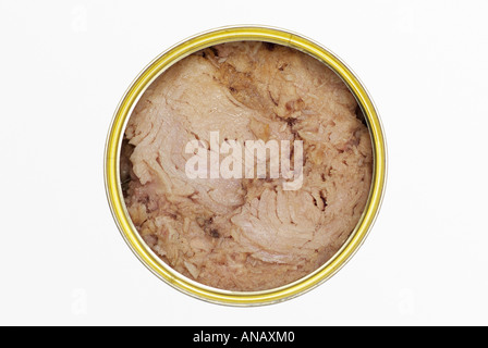 Tin de conserves de thon (Vue de dessus sur un fond blanc. Banque D'Images