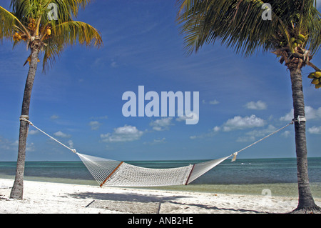 L'île tropical hamac vide sur la plage déserte entre deux palmiers Banque D'Images