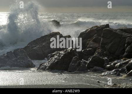 Surge, paparoa np, île du Sud, Nouvelle-Zélande Banque D'Images