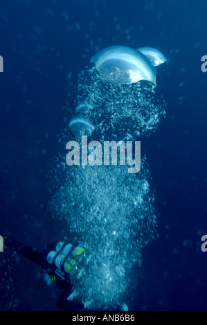 Sous bulles dans la mer d'une diver Banque D'Images