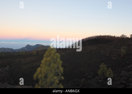 Vue sur Erjos et falaises de Los Gigantes à l'aube de la Las Canadas del Teide National Park Tenerife Espagne Banque D'Images