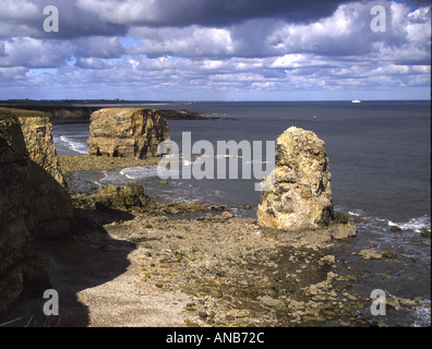 Les roches Marsden Marsden Bay South Shields Tyne et Wear Banque D'Images