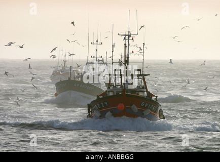 Bateaux de pêche en mer - chalutiers français retournant au port du Guilvinec, Bretagne France Europe Banque D'Images