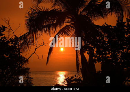 Asie du Sud-est, Thaïlande, Ko Chang, Lonely Beach au coucher du soleil avec des palmiers Banque D'Images