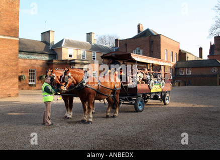 'Suffolk Punch' shirehorses et transport, Newmarket, Suffolk, Angleterre Banque D'Images