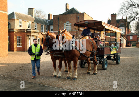 Une paire de chevaux Suffolk Punch et leur transport et chauffeur à l'avant de la Jockey Club, Newmarket Suffolk Banque D'Images